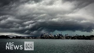 Tornado wreaks havoc in Sydneys south [upl. by Laurie]