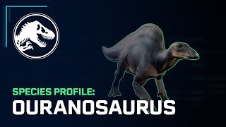 Species Profile – Ouranosaurus [upl. by Ermin558]