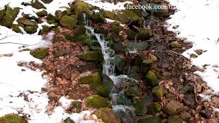 ENTSPANNEN  RELAXEN  TRÄUMEN  Kleiner Wasserfall im Pfälzer Wald [upl. by Cummine235]