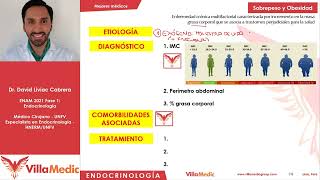 Obesidad y dislipidemias  Endocrinologia Villamedic [upl. by Cassy]