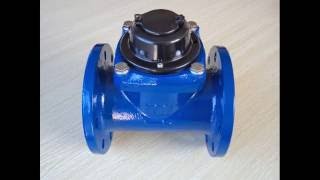 LXLC100 Woltman water meter suppliers and manufacturers [upl. by Ahsienroc968]