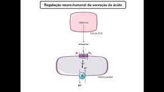 Farmacologia do trato gastrointestinal [upl. by Benedicta]