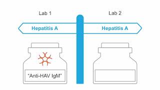 Important lab markers in HAV infection [upl. by Magner]