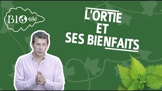 SANTÉ  LORTIE ET SES BIENFAITS [upl. by Carlynne]