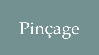 How to Pronounce Pinçage Pinching Correctly in French [upl. by Amis]