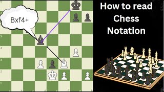 Learn Chess Notation  The Language of Chess Full Easy Tutorial [upl. by Airegin]