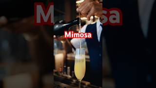 Mimosa recipe cocktail mimosa classiccocktails didothankyou thankgodido lyrics song songs [upl. by Fotinas]