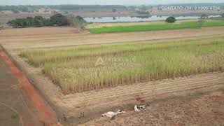 Fazenda à venda em Iturama com 21 alqueires mineiros  Triangulo Mineiro  Minas Gerais [upl. by Harbison676]