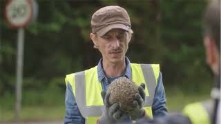 BBC Detectorists Hedgehog Season 3 Episode 5 [upl. by Elbart]