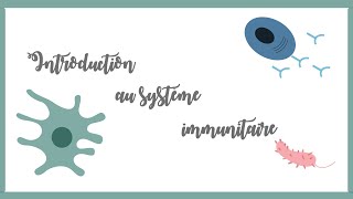 Introduction au système immunitaire inné et adaptatifImmunologie [upl. by Enelrahc36]