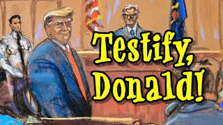 Testify Donald Donald Trump song parody [upl. by Signe]