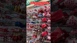 Dollar Tree is bringing out the Christmas 2024 Decorations 🎄 christmasdecor dollartree budget [upl. by Jedthus]