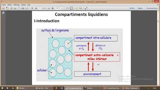 Généralités sur les compartiments liquidiens [upl. by Atnicaj]