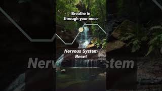 Nervous System Reset relaxing breathingexercise [upl. by Hussein]