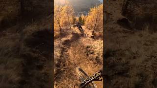 Fall time all time  Freeride MTB [upl. by Nwahsyd178]