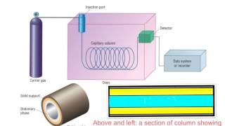 A2 chromatography [upl. by Kcirej]