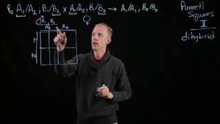 Punnett Square Dihybrid [upl. by Rowan]