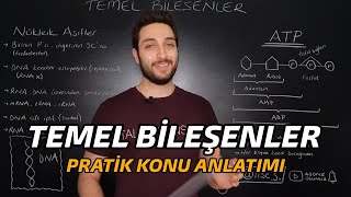 CANLILARIN TEMEL BİLEŞENLERİ  ÖZET KONU ANLATIMI  yks2022 [upl. by Eirdua]