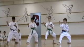 Shotokan Karate  Purple Belt Exam [upl. by Northington338]