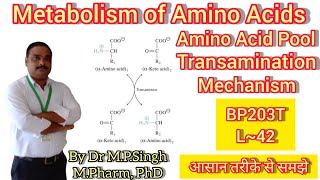 Transamination  Metabolism of Amino Acids  Part1  Biochemistry  BP203T  L42 [upl. by Lilias820]