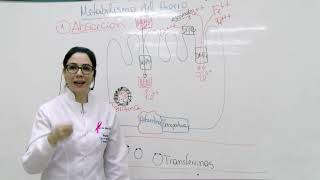 METABOLISMO DE HIERRO  PROF DRA ADRIANA DA MAIA [upl. by Phyl683]