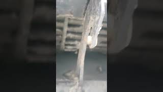 Split Ac Full DirtyHow To Clean Motor BlowerytyoutubevideoyoutubeshortFinac AirconditioningAc [upl. by Nnayr71]