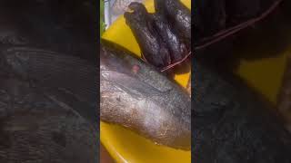 Buying foodstuffs from a Ghanaian market youtube vlog food farming [upl. by Gabbi]