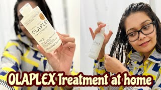 OLAPLEX treatment at Home  Damaged Hair Repair at Home [upl. by Petronia86]