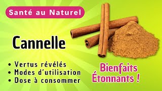 Pourquoi la Cannelle Estelle une Épice Incontournable pour votre Santé [upl. by Acyre587]