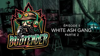 Comment reconnaître une bonne Weed  Budtender Podcast  White Ash Gang Partie 2 [upl. by Forland]