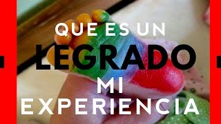 ✔Que es un Legrado Como lo hacen y en que consiste  Mi experiencia  Bebe Arcoiris [upl. by Elahcim]