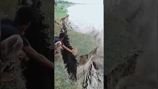 Karnali river cutting floodriver cute karnalishorts [upl. by Jessika]