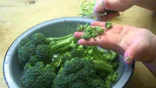 How to Make THE BEST Broccoli Salad [upl. by Solly825]