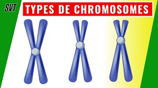 Comment les chromosomes sontils classés par leur centromère [upl. by Barby]