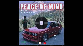 SLOW JAM MIX 2024  04 AUGUST  PEACE OF MIND VOL 90  DJ Ace ♠️ [upl. by Javed160]