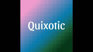 Quixotic  Meaning [upl. by Annahavas]