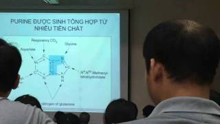 chuyen hoa axit nucleonic [upl. by Reiche347]