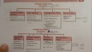 33Oxytocics and tocolytics classification [upl. by Engapmahc]