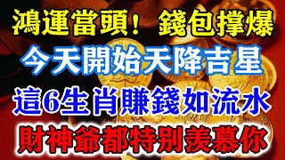 鴻運當頭！錢包撐爆！今天開始天降吉星！這6生肖賺錢如流水！就連財神爺都特別羨慕你！運勢 風水 佛教 生肖 发财 横财 【佛之緣】 [upl. by Grounds]