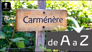 A Carménère de A a Z [upl. by Afatsuom343]