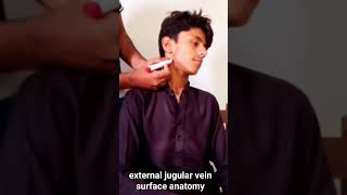 external jugular vein surface marking [upl. by Reta]