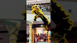 Acrobatic Lion Dance [upl. by Lyssa475]