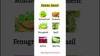 herbs namesherbs plants names and pictures [upl. by Nimref]