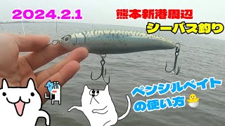 2024年2月1日 熊本新港周辺 白川 シーバス釣り ペンシルベイトの使い方 🐟 マリア ローデット スズキ釣り トップウォーター 冬トップ ルアー釣り 海釣り ルアーフィッシング シーバス [upl. by Aninotna]