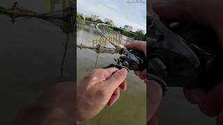 Skipping Casting rapala shimanofishing mancing sshorts short fishing vlogmancing [upl. by Rett721]