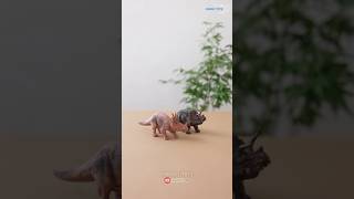 The Most Popular Triceratops Dinosaur in the World dinosaurs dinotoys dino collectingtoys diy [upl. by Rexanna]