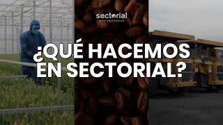 ¿Qué hace Sectorial [upl. by Davidoff]