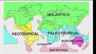 Regiones biogeográficas de México Región Neártica [upl. by Ludovick]