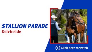 Thank you for attending the 2023 Darley Kelvinside stallion parade [upl. by Rimat603]