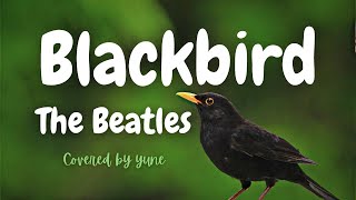 ブラックバードザ・ビートルズ（歌詞＋和訳）BlackbirdTheBeatles PaulMcCartney【ビートルズ女性カバー】 ＃洋楽和訳 yuneカバー [upl. by Nnyllatsyrc640]